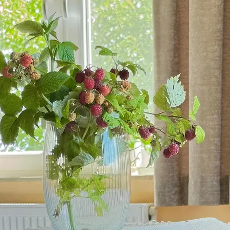 Penzion Blekitna Przystan - Z Widokiem Na Zatoke 3*