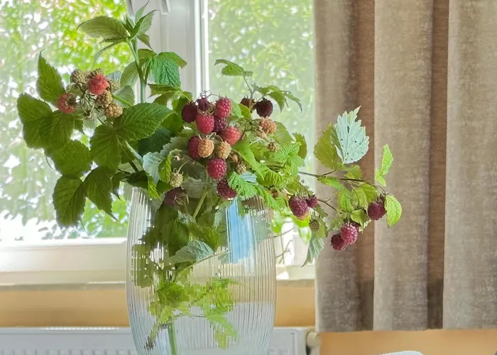 Penzion Blekitna Przystan - Z Widokiem Na Zatoke 3*